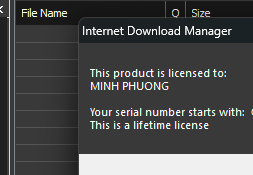 Internet Download Manager (IDM) - Trọn đời photo review