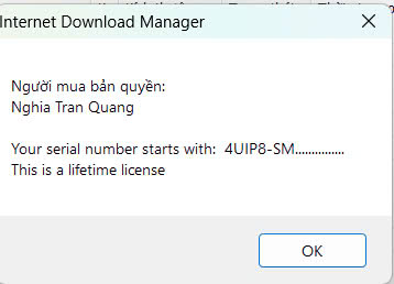 Internet Download Manager (IDM) - Trọn đời photo review
