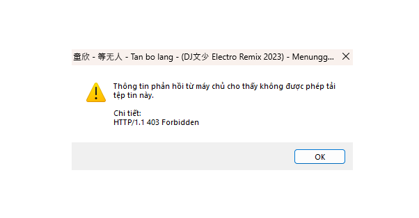 Internet Download Manager (IDM) - Trọn đời photo review