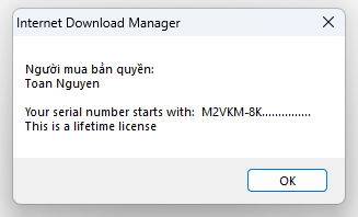 Internet Download Manager (IDM) - Trọn đời photo review