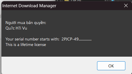 Internet Download Manager (IDM) - Trọn đời photo review