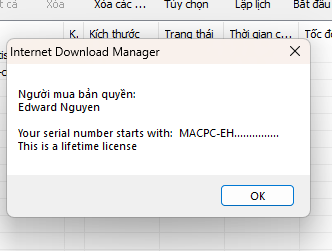 Internet Download Manager (IDM) - Trọn đời photo review