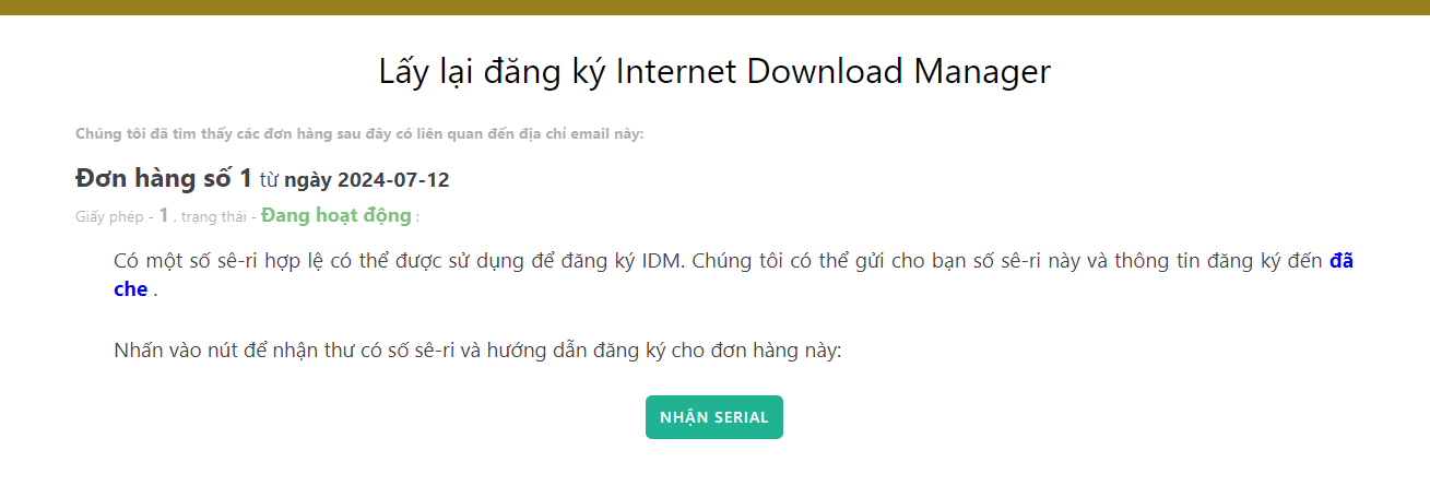 Internet Download Manager (IDM) - Trọn đời photo review