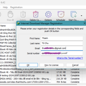 Internet Download Manager (IDM) - Trọn đời photo review