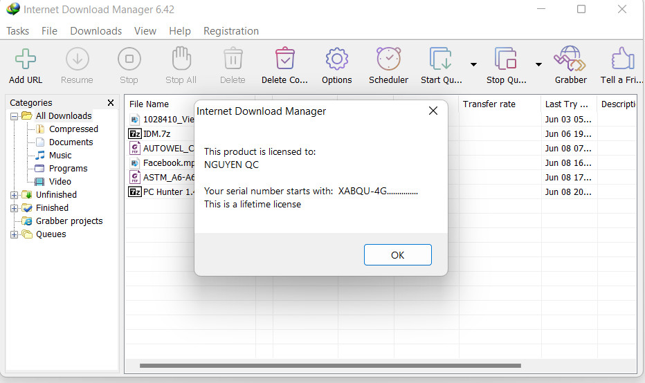 Internet Download Manager (IDM) - Trọn đời photo review