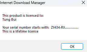 Internet Download Manager (IDM) - Trọn đời photo review
